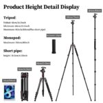 Tripod for Camera, Victiv 81 inch Professional Camera Tripod Monopod, Tall DSLR Tripod Heavy Duty, Aluminium Compact Travel Tripod with Phone Mount, Compatible with Canon Nikon Sony