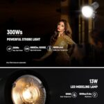 NEEWER Q300 300Ws 2.4G Outdoor Studio Flash with Q Compact Wireless Trigger, 7800mAh Li ion Battery Powered Strobe Light Photography Cordless Monolight with 1000 Full Power Flash 0.4~2.5s Recycle